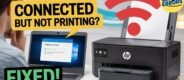 HP Printer Not Printing